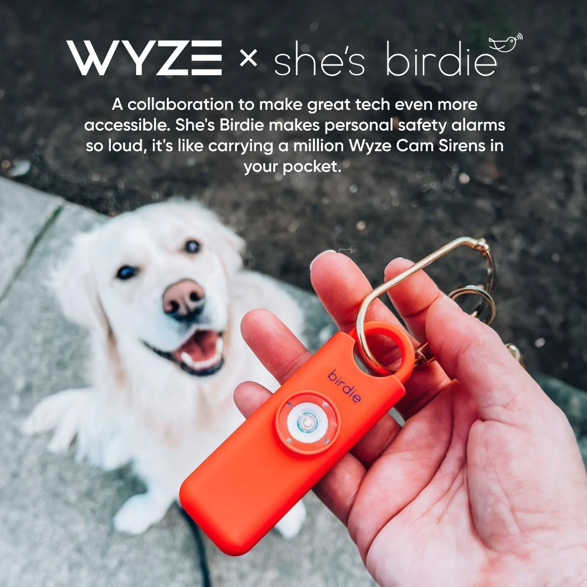 ShesBirdie and Wyze.png