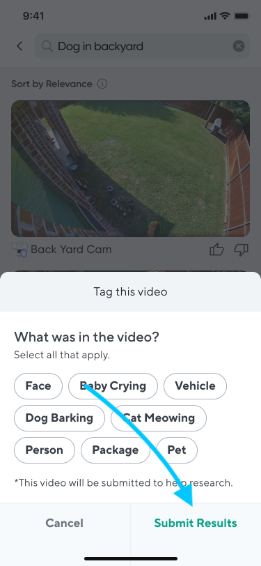 Video Search submit results.png