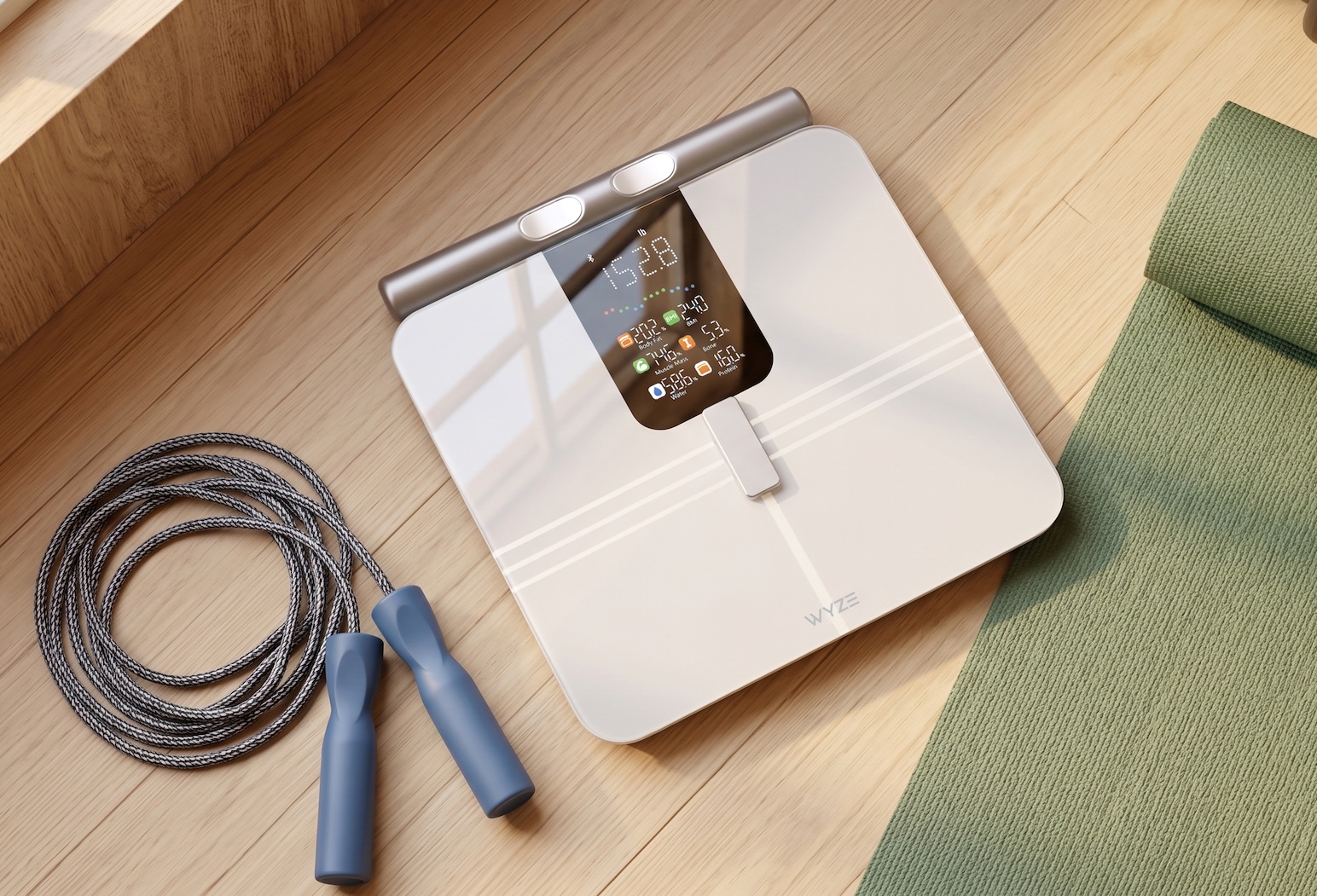 Scale BodyScan Render 6.jpg