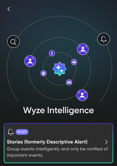 Wyze Intelligence.png